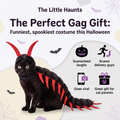 The Little Haunts - Cat Centipede Costume