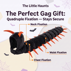 The Little Haunts - Cat Centipede Costume