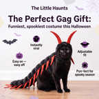 The Little Haunts - Cat Centipede Costume